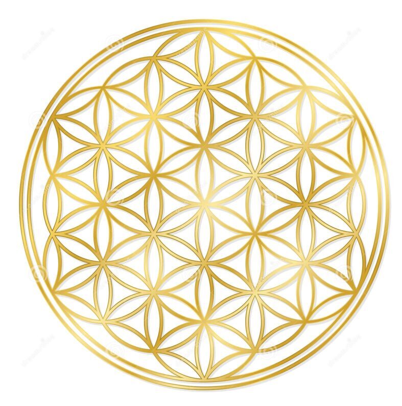 Flower of life find dit sande jeg med mitSannejeg