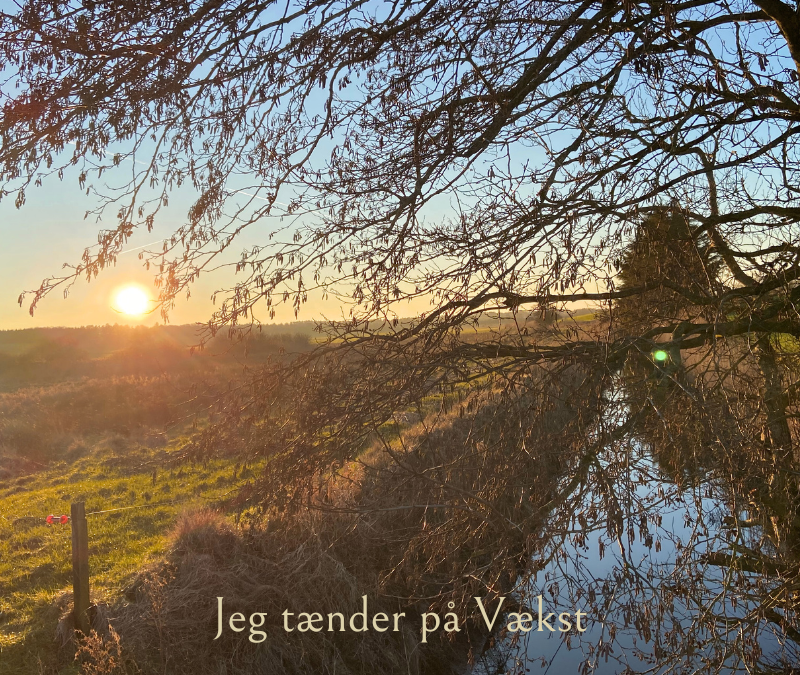 Vækst tænder jeg på